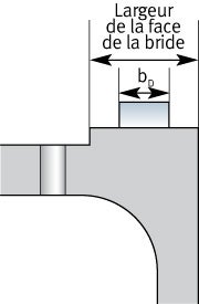 Pour des brides à face surélevée et face plate