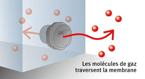 Les molécules de gaz traversent la membrane