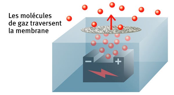 Les molécule de gaz traversent la membrane
