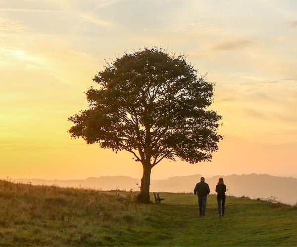 Image d’un arbre au coucher du soleil, avec deux personnes qui se promènent.