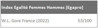 Index Égalité Femmes Hommes (Egapro)