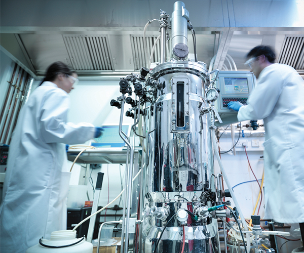 Bioréacteurs destinés aux processus pharmaceutiques et biopharmaceutiques