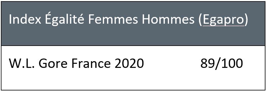 Index Égalité Femmes Hommes (Egapro)